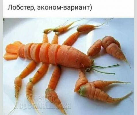 http://zamok.druzya.org/uploads/monthly_12_2016/post-3-0-96353300-1483222177_thumb.jpg