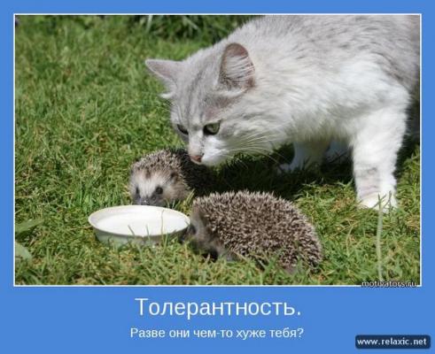 http://zamok.druzya.org/uploads/monthly_03_2013/post-217985-1362846789_thumb.jpg