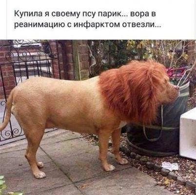 http://zamok.druzya.org/uploads/monthly_08_2016/post-3-0-51240600-1470233371_thumb.jpg